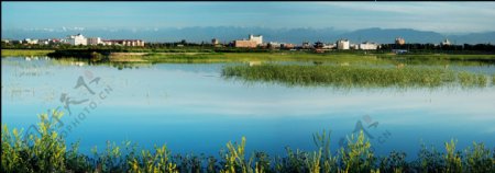 甘肃张掖湿地之城图片