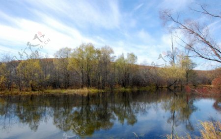 根河两公里半秋景图片