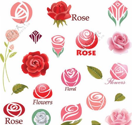 精美玫瑰花花卉商标图片