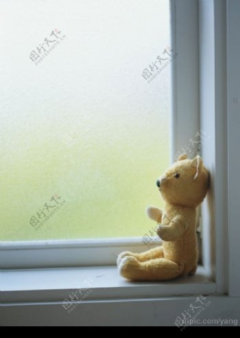 窗台上的玩具熊图片