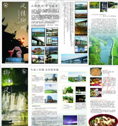 柳州宣传折页图片