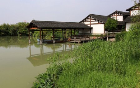 杭州西溪湿地西区图片