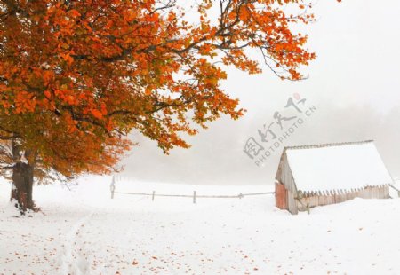 雪中小屋图片