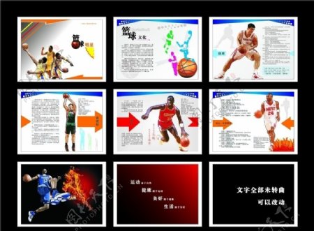 篮球明星手册图片