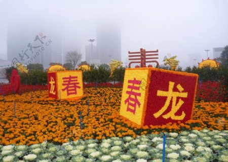 广州海心沙公园风景图片