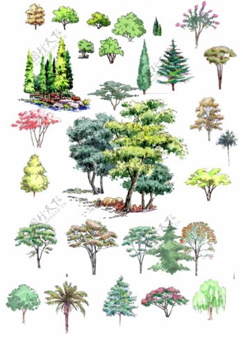 手绘树木素材图片