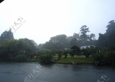 杭州花圃盆景园图片