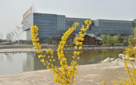 西安国际港务区的春天图片