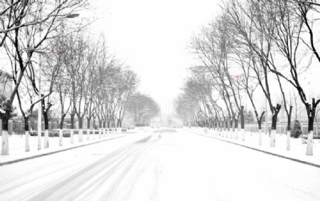 北京冬天的雪景图片
