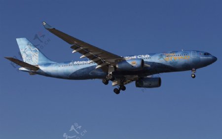 阿航空客A330彩绘图片