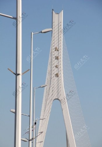 哈尔滨市斜拉桥图片