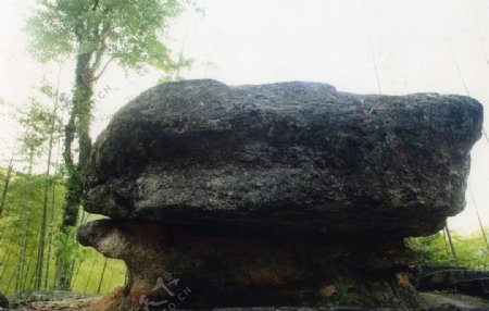 舜皇山龟背石图片