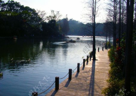 春光明媚仙湖园图片