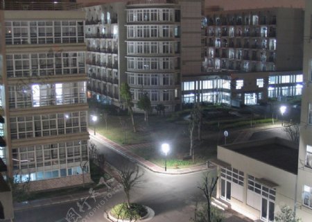 浙江大学城市学院夜景图片