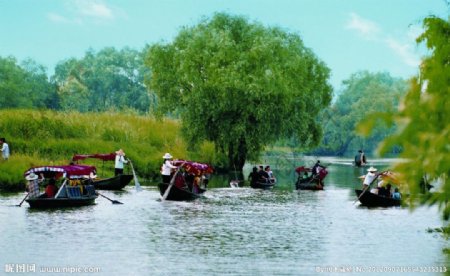 西溪湿地游船图片