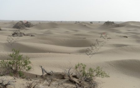 塔克拉玛干大沙漠摄影图图片