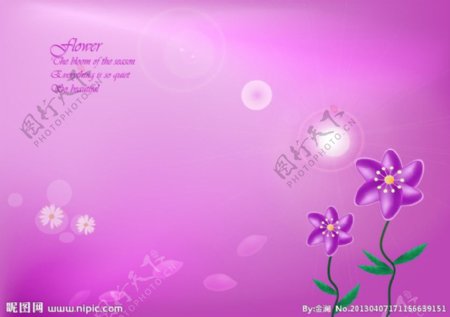 紫色唯美花朵背景图图片
