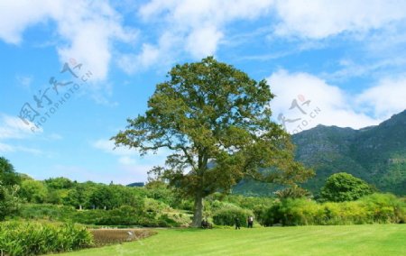 山里风景摄影图JPG图片