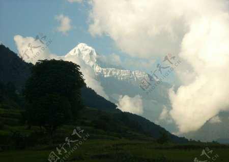 喜马拉雅的鬼尾峰图片