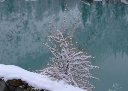 然乌湖冰雪图片
