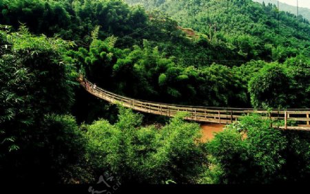 竹乡的小桥图片
