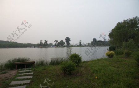 莲花湖岸图片