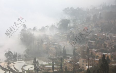 薄雾笼罩山村梯田图片