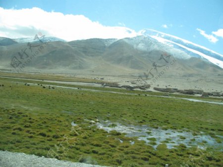 新疆草原风景图片