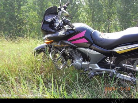 本田战鹰CBF150摩托车图片