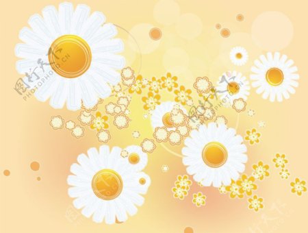 手绘太阳花纹花朵花卉图片