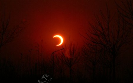 2010年1月15日天津看到的日偏食如弯弯的月亮3图片