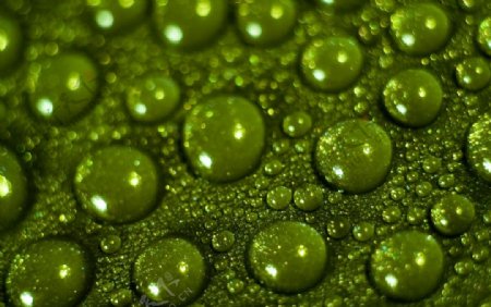 绿色水珠水滴图片