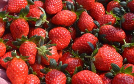 草莓堆水果图片