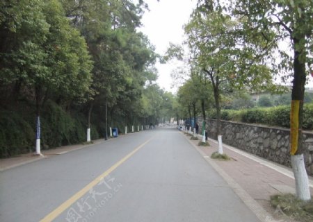 湘潭大学马路图片
