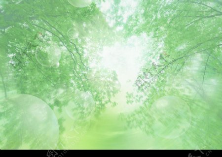 绿色天空水生态图片