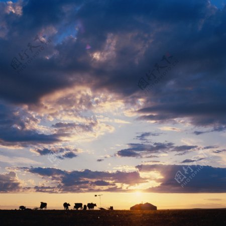 夕阳天空草原图片