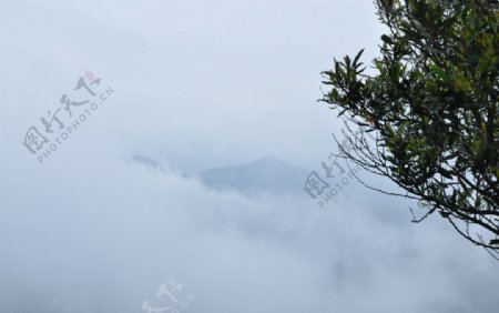 山间云雾图片
