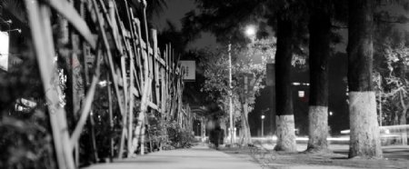 厦门大学夜景图片