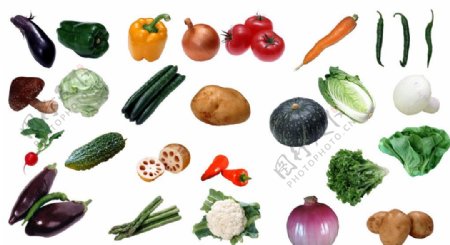 蔬菜素材绿叶菜图片