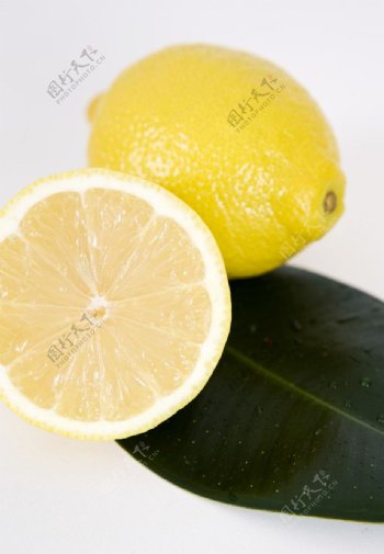 柠檬尤力克图片