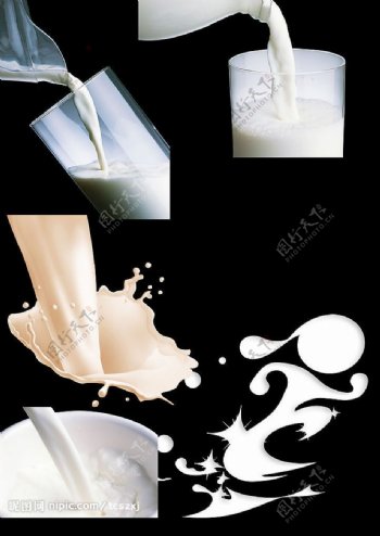 激起的奶花图片
