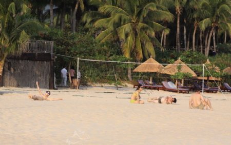 海边沙滩排球场图片