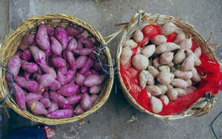 红薯副食菜图片