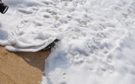 海浪沙滩海龟图片