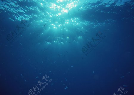 海底自然景观图片