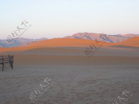 沙之海图片