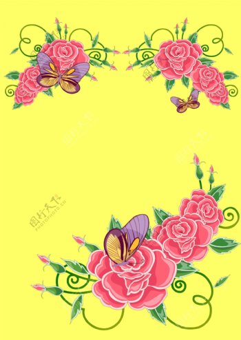 玫瑰月季蝴蝶背景图片