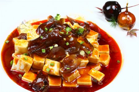 麻婆豆腐烧海参图片