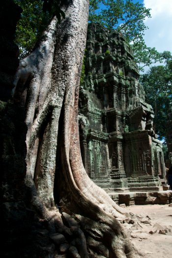 柬埔寨景观图片