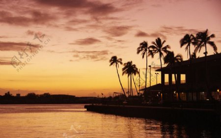夕阳中的檀香山港图片